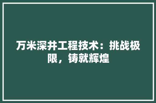 万米深井工程技术：挑战极限，铸就辉煌 软装设计