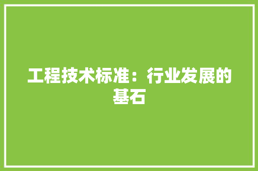 工程技术标准：行业发展的基石 现代风格装饰