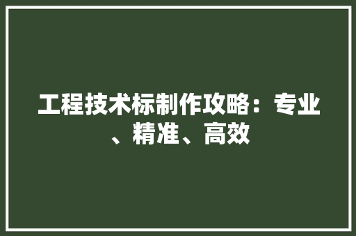 工程技术标制作攻略：专业、精准、高效 现代风格装饰