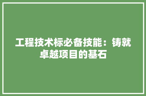 工程技术标必备技能：铸就卓越项目的基石 现代风格装饰
