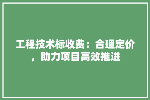 工程技术标收费：合理定价，助力项目高效推进