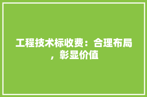工程技术标收费：合理布局，彰显价值 现代风格装饰