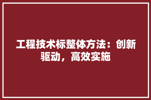 工程技术标整体方法：创新驱动，高效实施 现代风格装饰