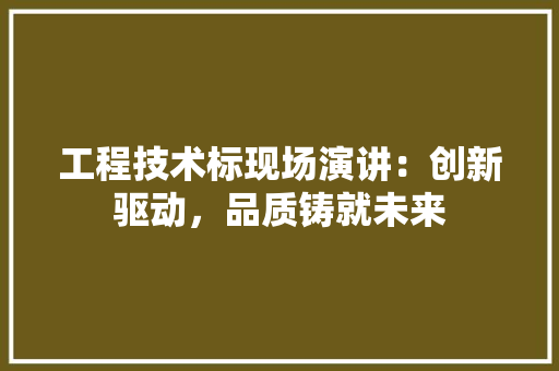 工程技术标现场演讲：创新驱动，品质铸就未来 现代风格装饰