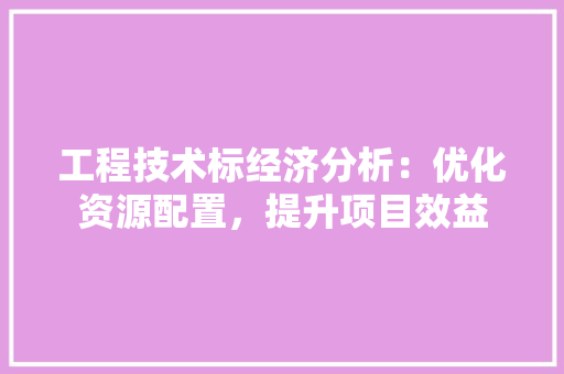 工程技术标经济分析：优化资源配置，提升项目效益 现代风格装饰