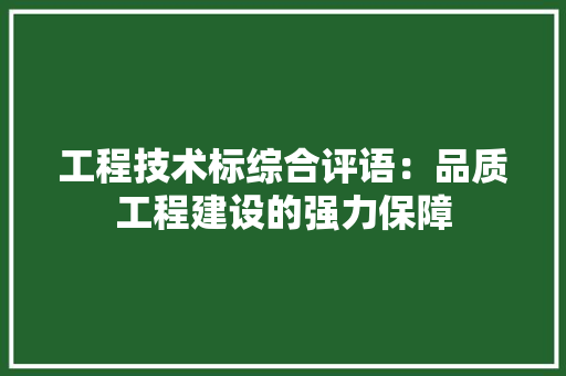 工程技术标综合评语：品质工程建设的强力保障 现代风格装饰