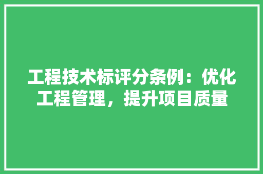 工程技术标评分条例：优化工程管理，提升项目质量 现代风格装饰