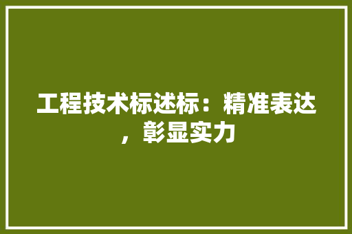 工程技术标述标：精准表达，彰显实力 现代风格装饰