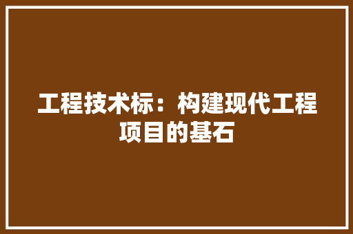 工程技术标：构建现代工程项目的基石 现代风格装饰