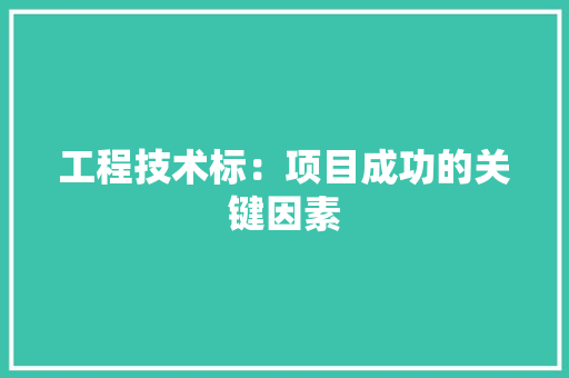 工程技术标：项目成功的关键因素 现代风格装饰