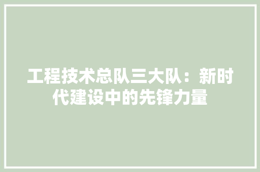 工程技术总队三大队：新时代建设中的先锋力量 现代风格装饰