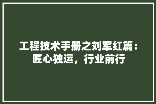工程技术手册之刘军红篇：匠心独运，行业前行 现代风格装饰