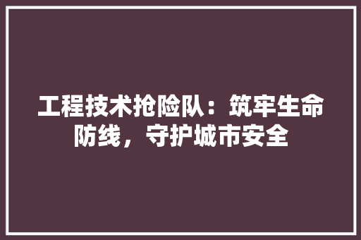 工程技术抢险队：筑牢生命防线，守护城市安全 现代风格装饰