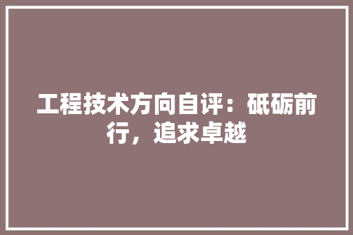 工程技术方向自评：砥砺前行，追求卓越 现代风格装饰