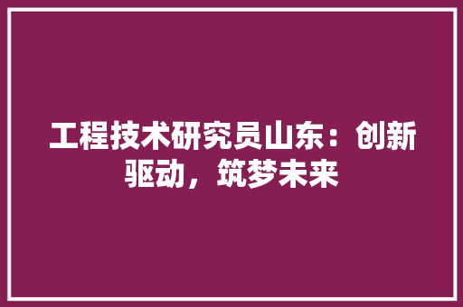 工程技术研究员山东：创新驱动，筑梦未来 现代风格装饰