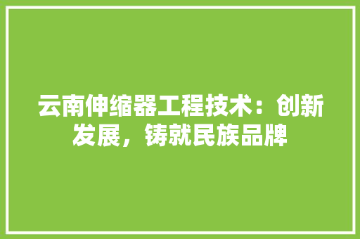 云南伸缩器工程技术：创新发展，铸就民族品牌 家居装修