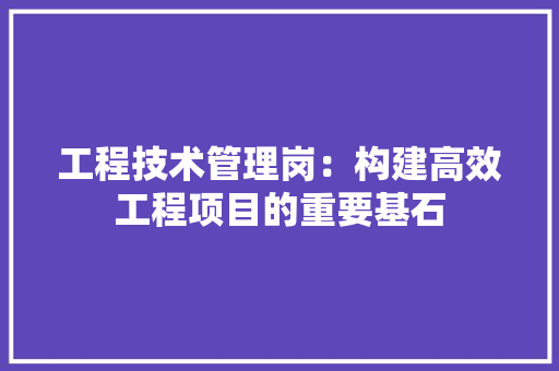 工程技术管理岗：构建高效工程项目的重要基石 现代风格装饰