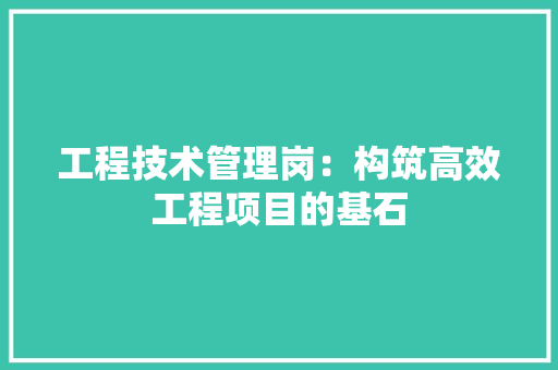 工程技术管理岗：构筑高效工程项目的基石 现代风格装饰