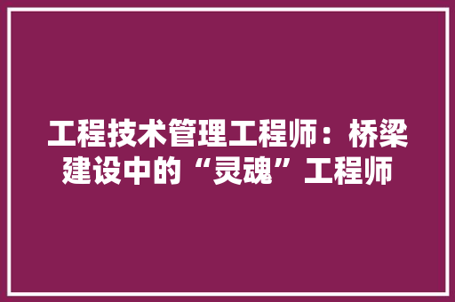 工程技术管理工程师：桥梁建设中的“灵魂”工程师 现代风格装饰