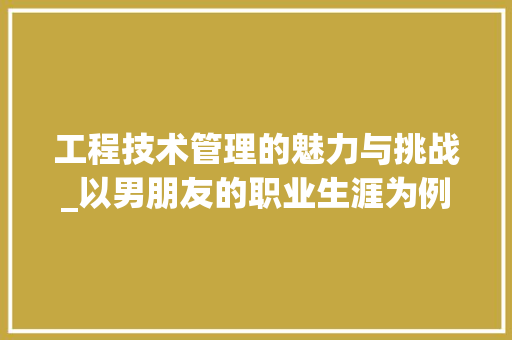 工程技术管理的魅力与挑战_以男朋友的职业生涯为例 现代风格装饰