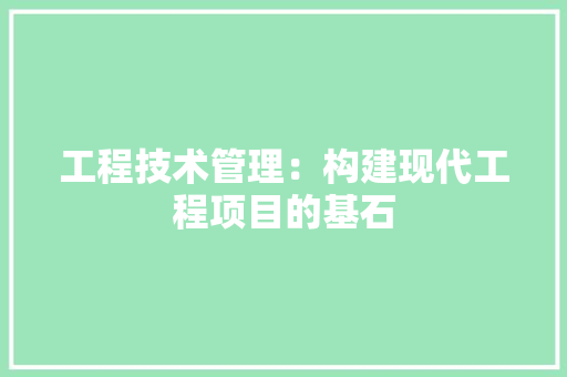工程技术管理：构建现代工程项目的基石 现代风格装饰