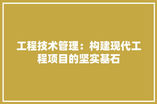 工程技术管理：构建现代工程项目的坚实基石 现代风格装饰