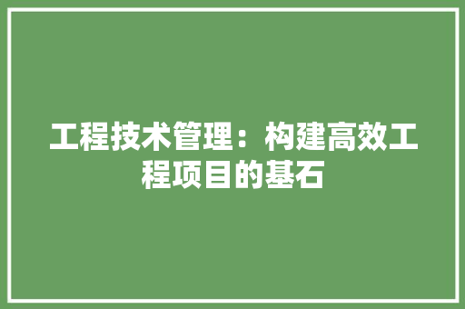 工程技术管理：构建高效工程项目的基石 现代风格装饰