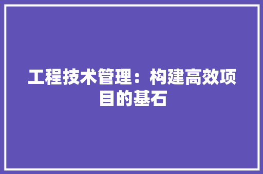 工程技术管理：构建高效项目的基石 现代风格装饰