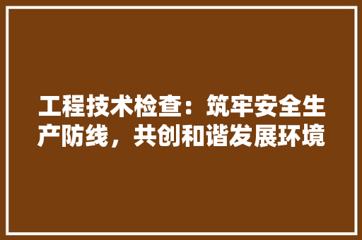 工程技术检查：筑牢安全生产防线，共创和谐发展环境 现代风格装饰