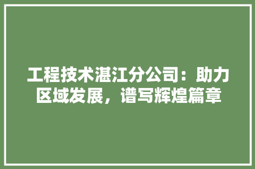 工程技术湛江分公司：助力区域发展，谱写辉煌篇章 现代风格装饰