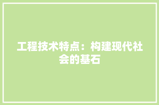 工程技术特点：构建现代社会的基石 现代风格装饰