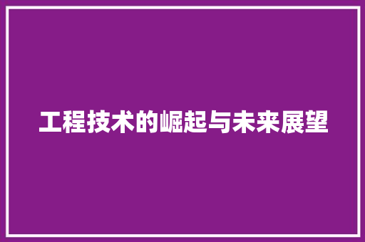 工程技术的崛起与未来展望 现代风格装饰