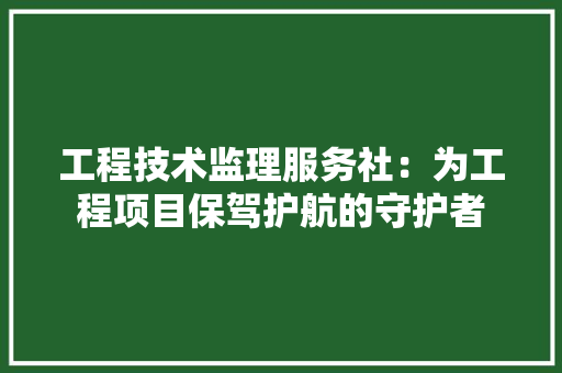 工程技术监理服务社：为工程项目保驾护航的守护者 现代风格装饰