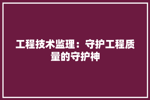 工程技术监理：守护工程质量的守护神 现代风格装饰
