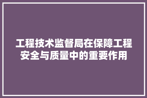 工程技术监督局在保障工程安全与质量中的重要作用 现代风格装饰