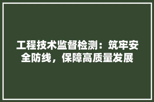工程技术监督检测：筑牢安全防线，保障高质量发展 现代风格装饰