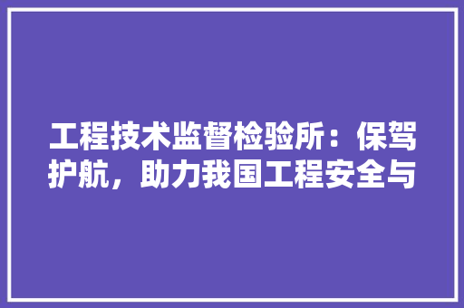 工程技术监督检验所：保驾护航，助力我国工程安全与发展 现代风格装饰