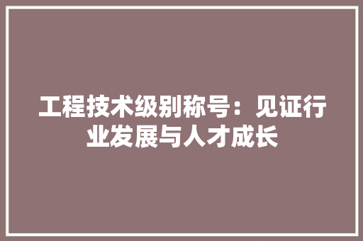 工程技术级别称号：见证行业发展与人才成长 现代风格装饰