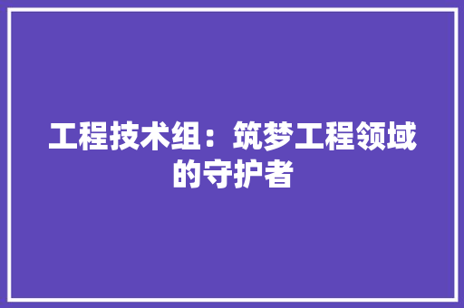 工程技术组：筑梦工程领域的守护者 现代风格装饰