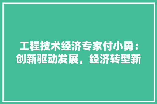 工程技术经济专家付小勇：创新驱动发展，经济转型新路径 现代风格装饰