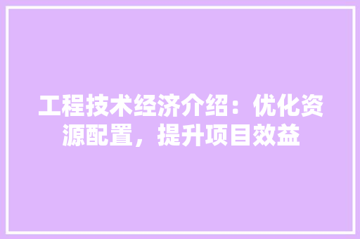 工程技术经济介绍：优化资源配置，提升项目效益 现代风格装饰