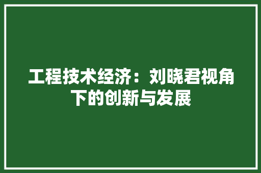 工程技术经济：刘晓君视角下的创新与发展 现代风格装饰