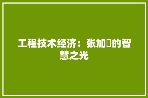 工程技术经济：张加瑄的智慧之光 现代风格装饰