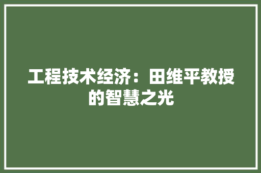 工程技术经济：田维平教授的智慧之光 现代风格装饰