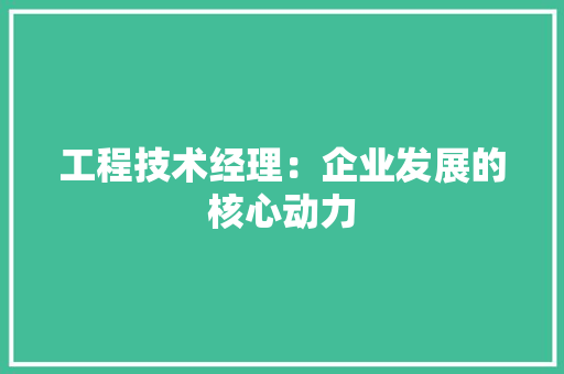 工程技术经理：企业发展的核心动力 现代风格装饰