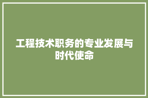 工程技术职务的专业发展与时代使命 现代风格装饰