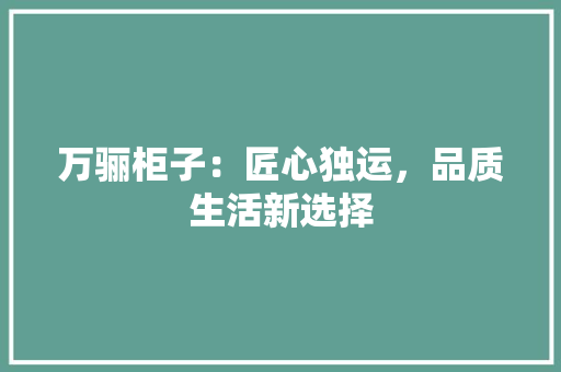 万骊柜子：匠心独运，品质生活新选择 客厅装修