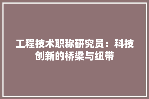 工程技术职称研究员：科技创新的桥梁与纽带 现代风格装饰
