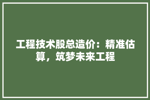 工程技术股总造价：精准估算，筑梦未来工程 现代风格装饰