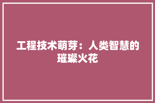 工程技术萌芽：人类智慧的璀璨火花 现代风格装饰